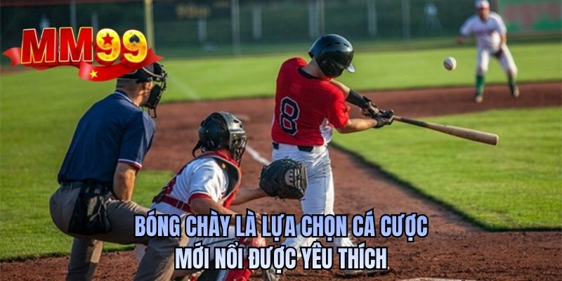 Bóng chày là lựa chọn cá cược mới nổi được yêu thích